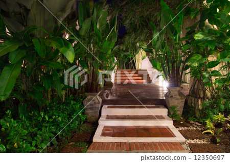 Garden 12350697