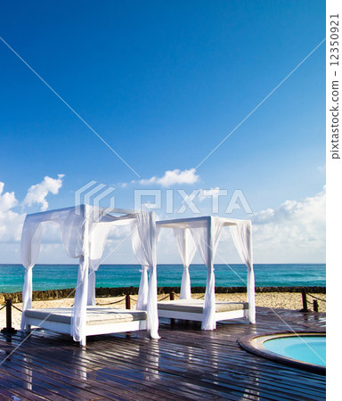 Pavilion and swimming pool Pavilion and swimming pool 12350921