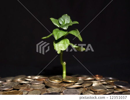 plant and coins 12351037