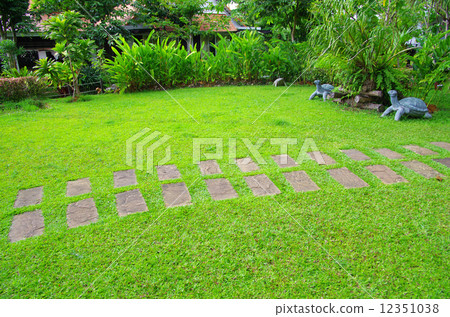 Garden 12351038