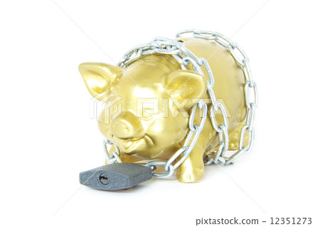 piggy bank 12351273