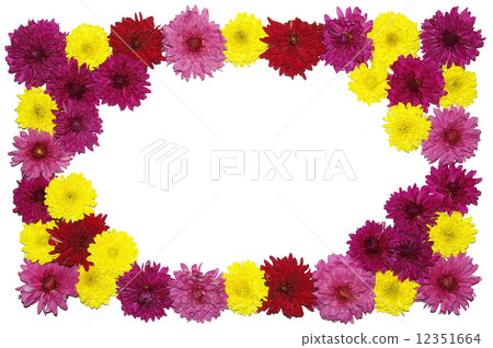flower frame 12351664