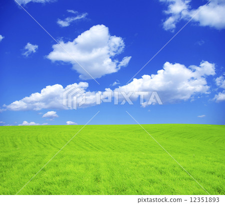 field 12351893