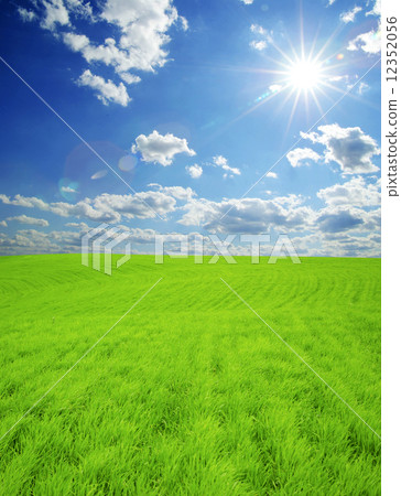 field 12352056