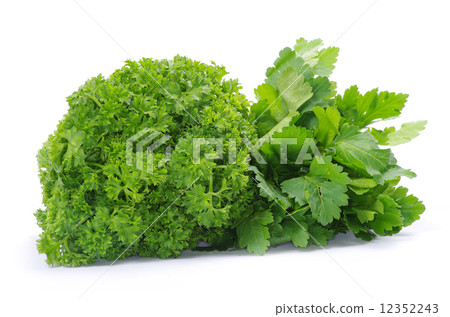 parsley 12352243