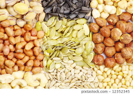 seeds and nuts seeds and nuts 12352345