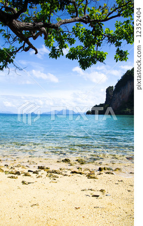 tropical sea tropical sea 12352404
