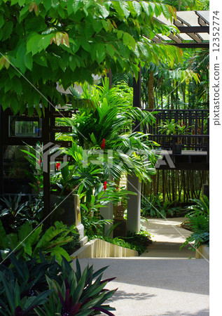 Garden Garden 12352774