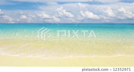 sea 12352971