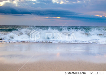 sea sea 12353119
