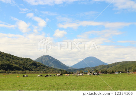 Farm where twin mountains can be seen Farm where twin mountains can be seen 12354166