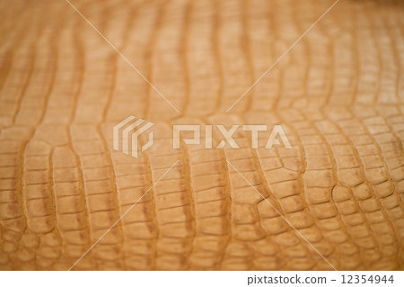 Crocodile skin 12354944