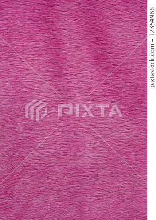 Horse fur Horse fur 12354968