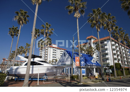 Zushi Marina 12354974