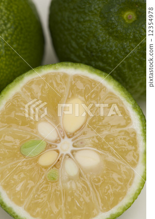 Flower citron 12354978