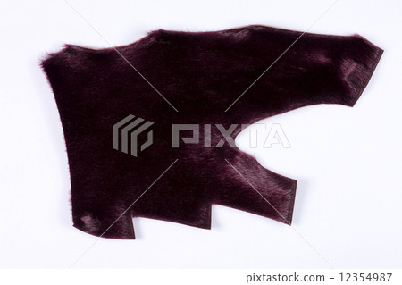 Seal fur Seal fur 12354987