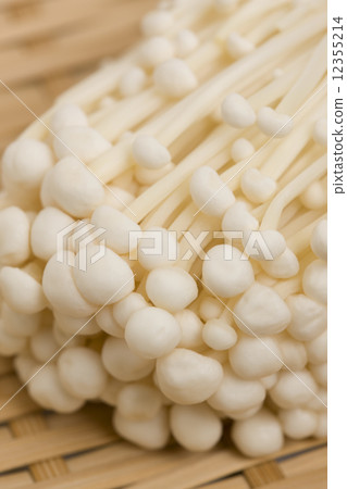 Enokidake Enokidake 12355214