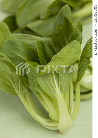 白菜 12355305