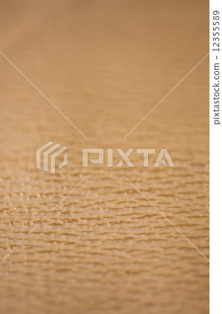 鯊魚的皮膚 鯊魚的皮膚 12355589