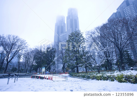 雪的新宿中央公園 照片素材 圖片 圖庫