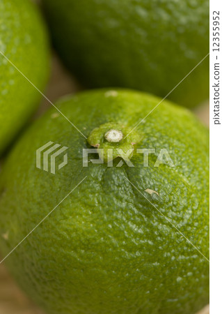 Flower citron 12355952