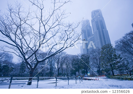雪的新宿中央公園 雪的新宿中央公園 12356026