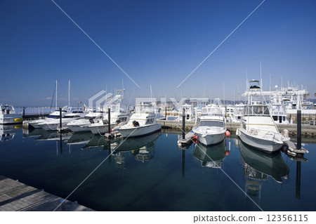 Zushi Marina 12356115