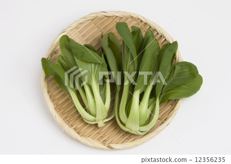 白菜 12356235