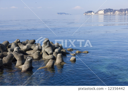 湘南海 12356442