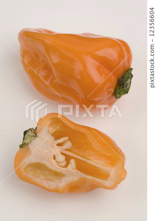 habañero pepper habañero pepper 12356604