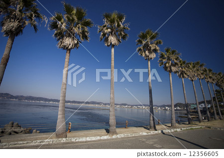 Shonan seismic coast 12356605