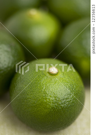 Shikuwasa Shikuwasa 12356613