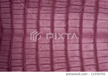 鱷魚皮 鱷魚皮 12356702