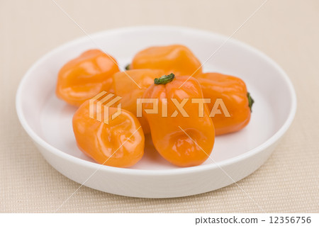 阿巴內羅 12356756