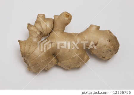 Ginger 12356796
