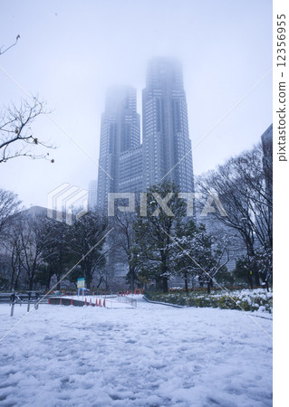 雪的新宿中央公園 照片素材 圖片 圖庫