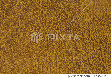 Sheep leather 12357043