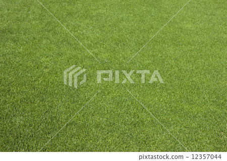 Lawn 12357044