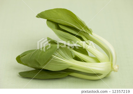 白菜 12357219