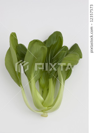 白菜 12357573
