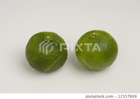 Flower citron 12357609