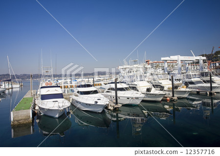 Zushi Marina 12357716