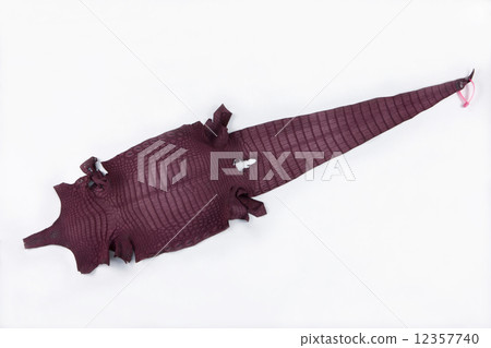 Crocodile skin Crocodile skin 12357740