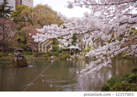 日比谷公園 照片素材 圖片 圖庫