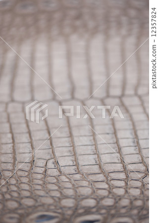 Crocodile skin Crocodile skin 12357824