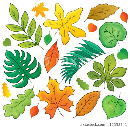 Leaves theme collection 1 12358541