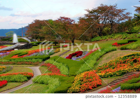 在傍晚的天空下，鮮花盛開的公園互相競爭 12358889