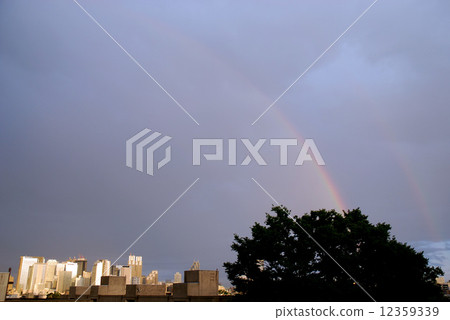在西新宿摩天大樓組的雙重彩虹 12359339