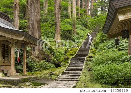Haguroyama five-storied pagoda 12359519