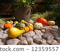 Halloween pumpkin 12359557